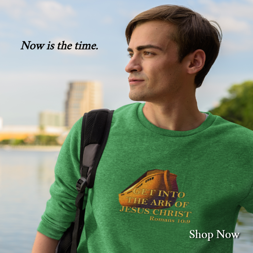 Get Into the Ark of Jesus Christ